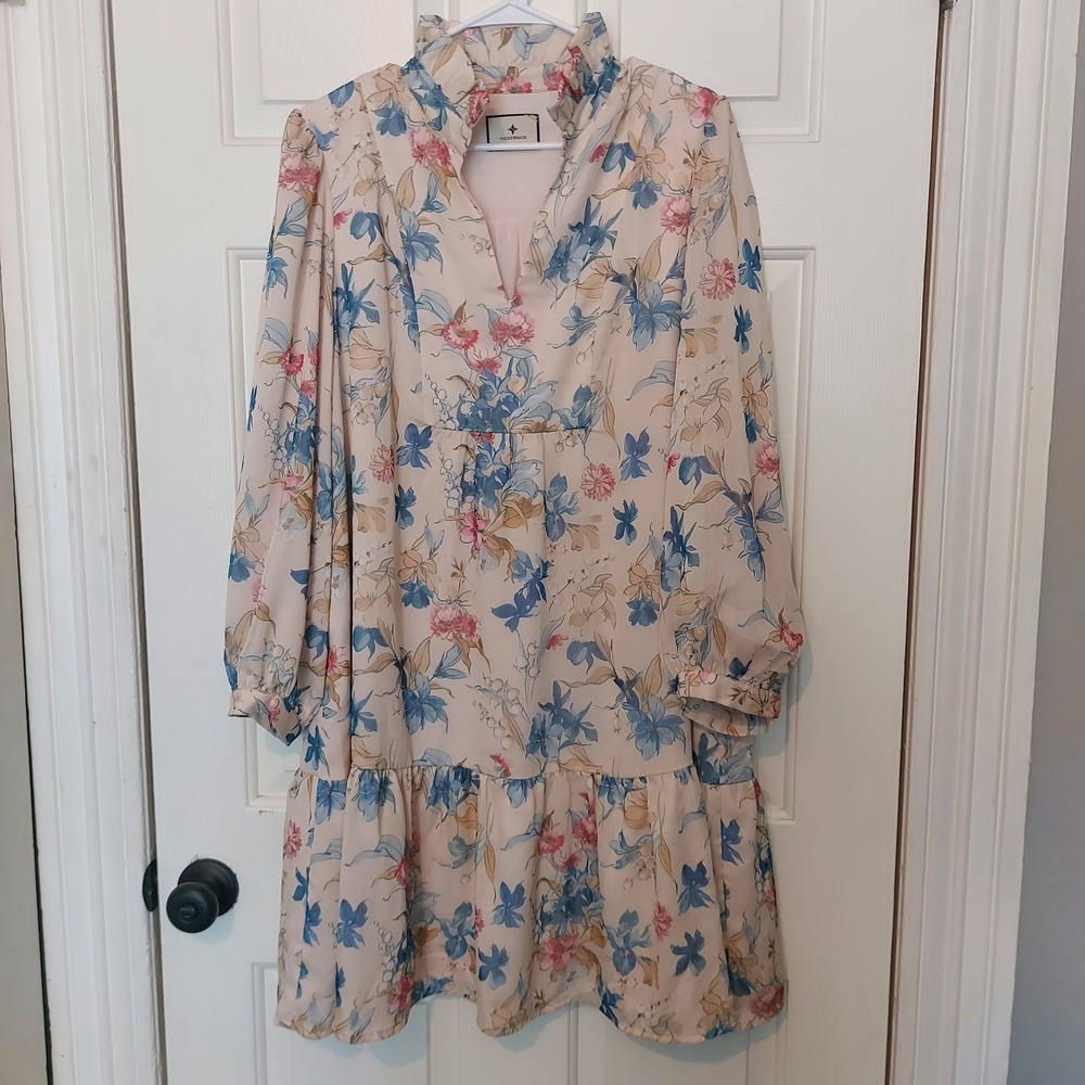 Tuckernuck XL Floral Ruffle Neck Drop Waist Mini Dress Cream Blue Long Sleeve